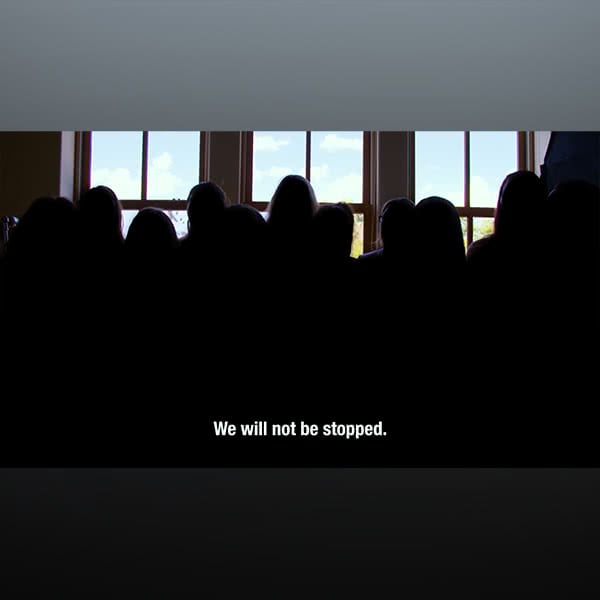 A photograph showing the silhouettes of the Phoenix 11.